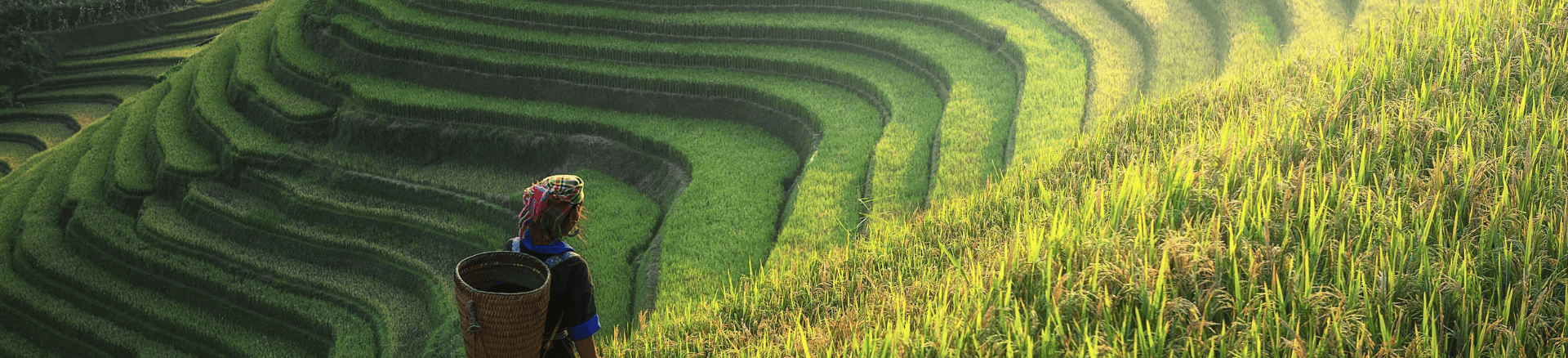 טיסות זולות לסין