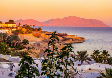 טיסה זולה לשארם א שייח