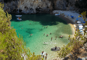 דילים לורנה