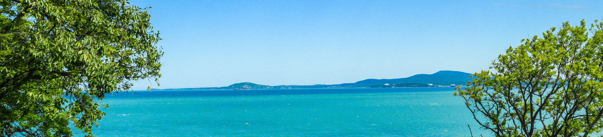 דילים לבורגס