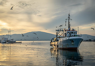 דילים לבורגס