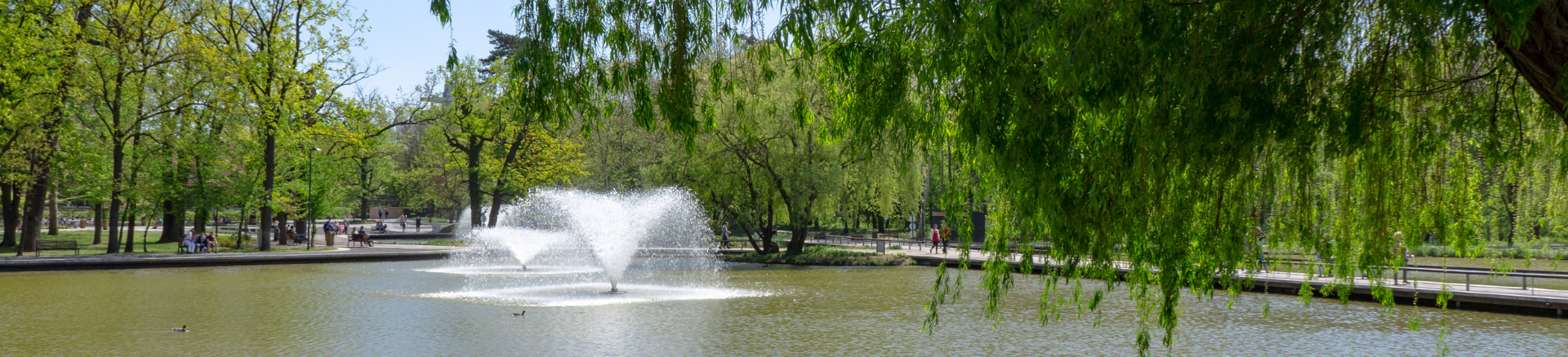 טיסות זולות לדברצן