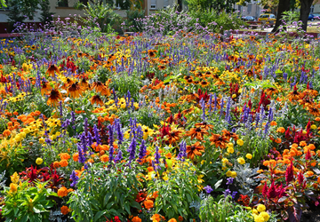 חופשה בדברצן
