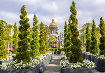 טיסה זולה לסנט פטרסבורג