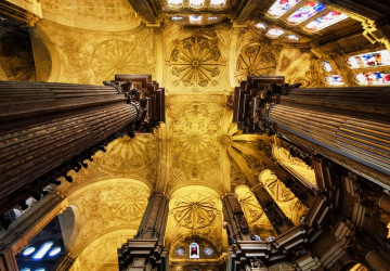 דיל זול למלגה