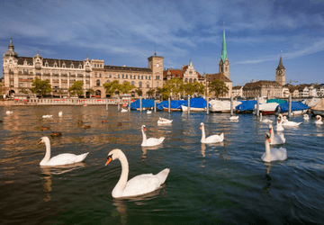 טיסה לציריך