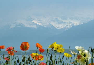 טיסה לג'נבה שוויץ