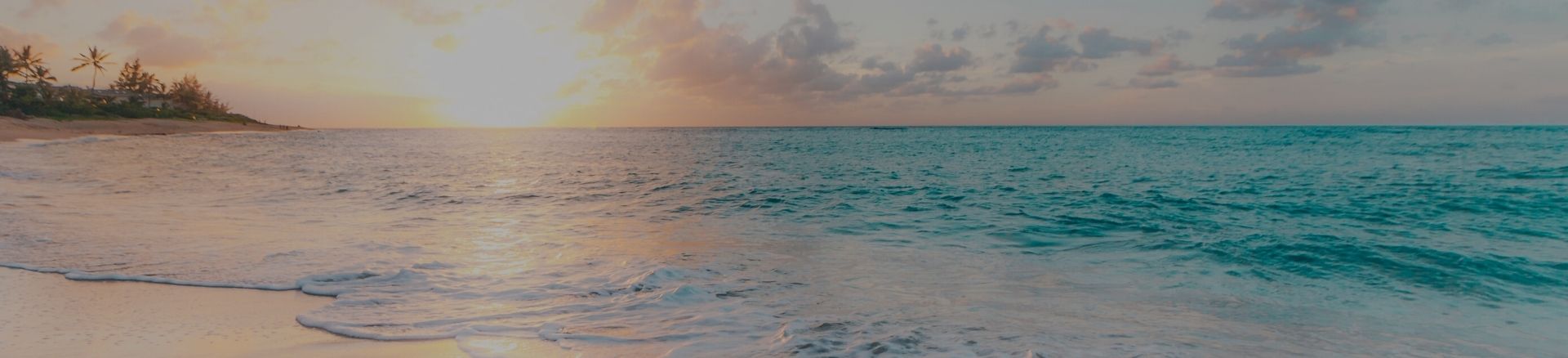 דילים לסיישל