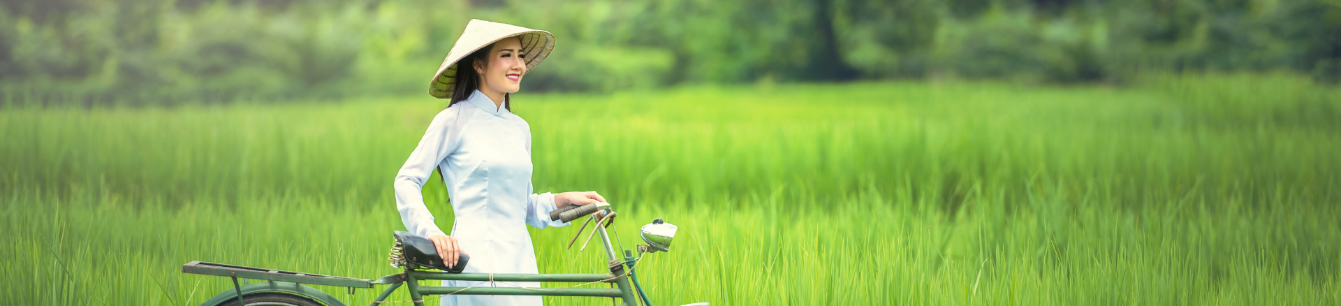 טיולים מאורגנים