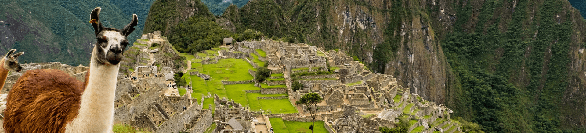 טיסות זולות לדרום אמריקה