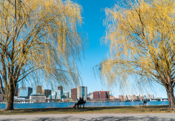 טיסה לבוסטון