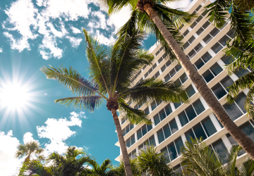 טיסה למיאמי