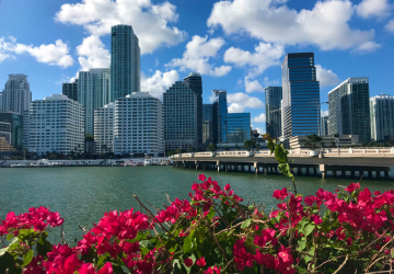 טיסות למיאמי