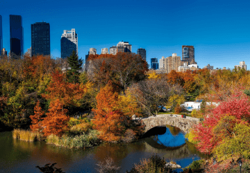 דילים לניו יורק ארה