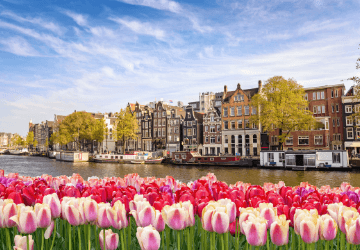 דילים לאמסטרדם