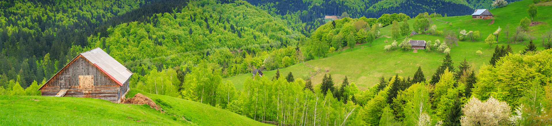 טיסות זולות לרומניה