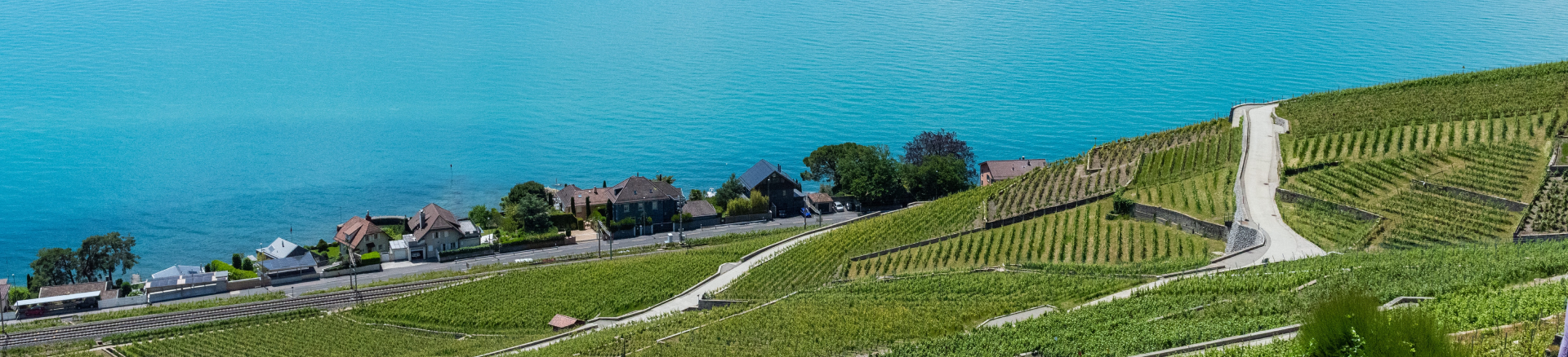 טיסות זולות לשוויץ