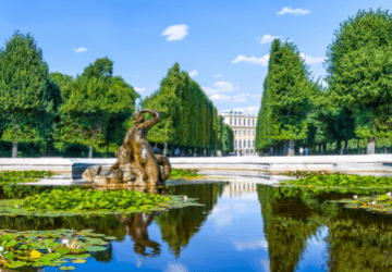 דיל זול לוינה