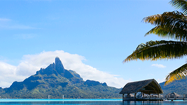 טיסות לזנזיבר