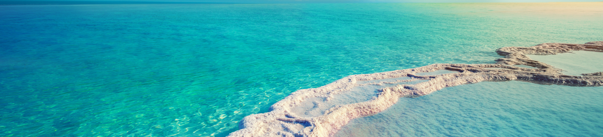 מלונות בים המלח